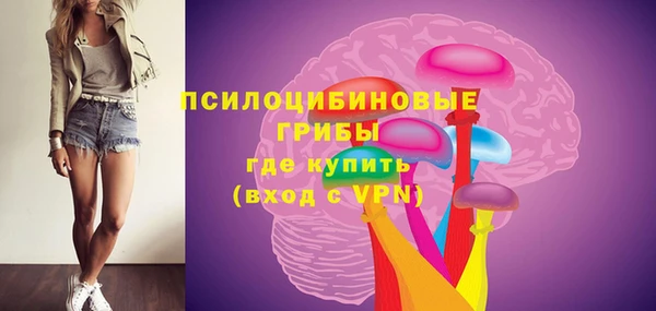 стаф Абаза