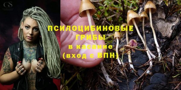 СК Абдулино