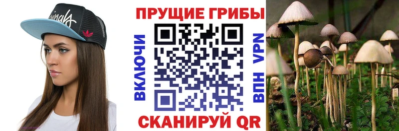 Галлюциногенные грибы Cubensis  Руза 